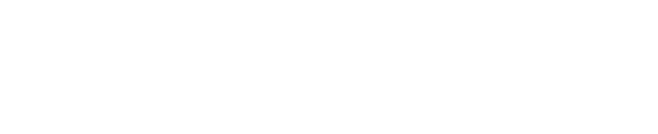 LEADS.PM